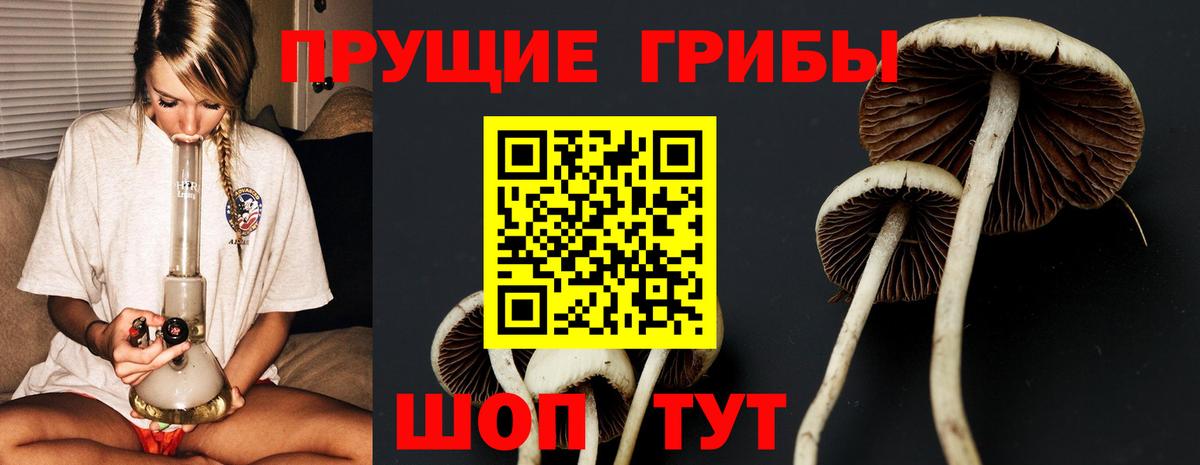 Северодвинск  Галлюциногенные грибы мухоморы  Вход с VPN 